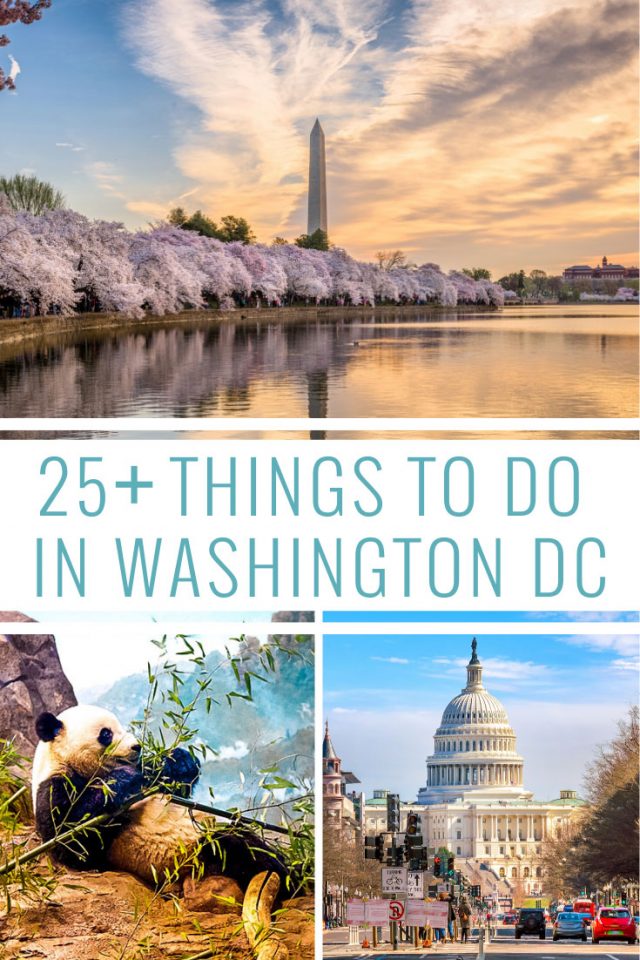 101 Epic and Unique Things To Do In DC