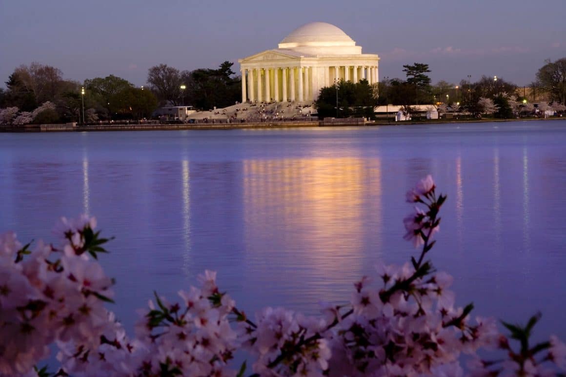 Washington DC Cherry Blossoms at NIght on the Tidal Basin