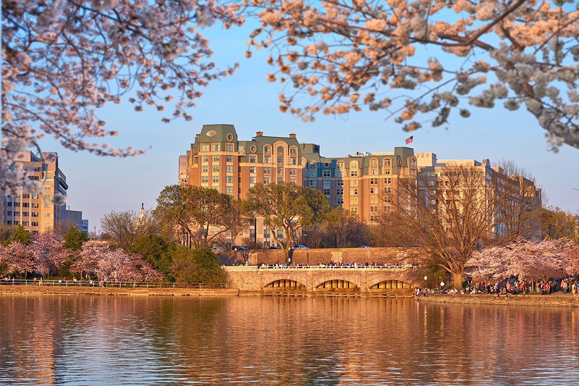 Where to stay in Washington DC during Cherry Blossom Season