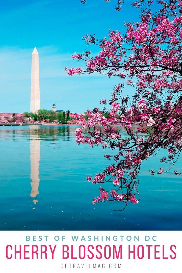Best Washington DC Cherry Blossom Hotels