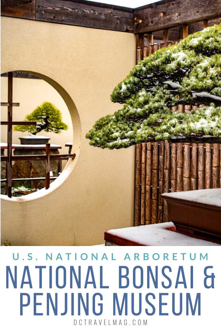 National Bonsai & Penjing Museum U.S. National Arboretum
