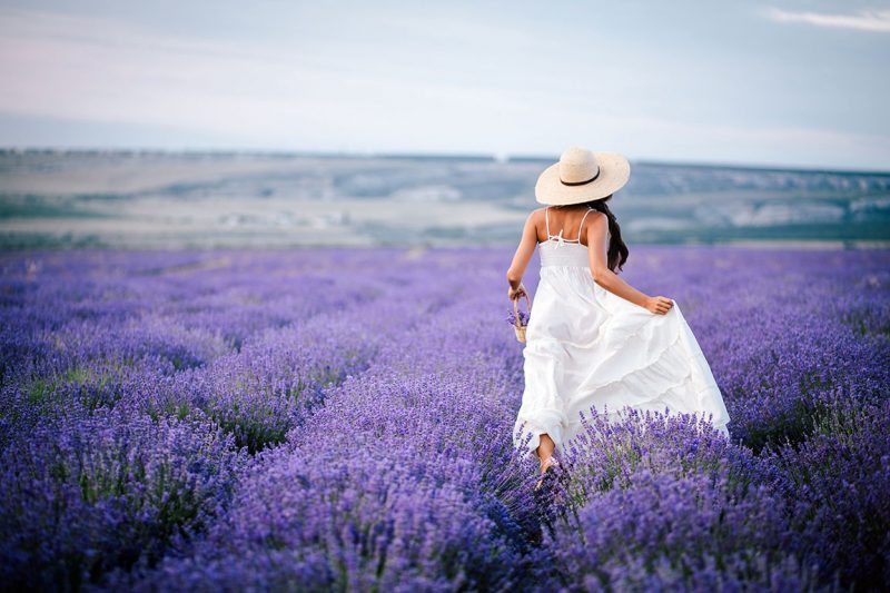10 Lavender Farms In VA For Stunning U-Pick Flowers