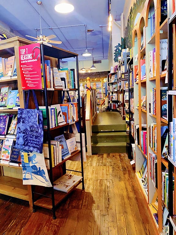 Curious Iguana Bookstore in Frederick Maryland