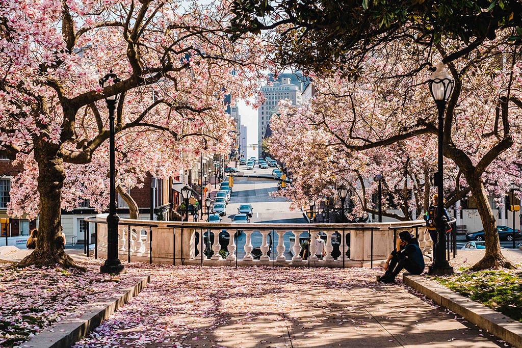 Things to do in Baltimore in Spring