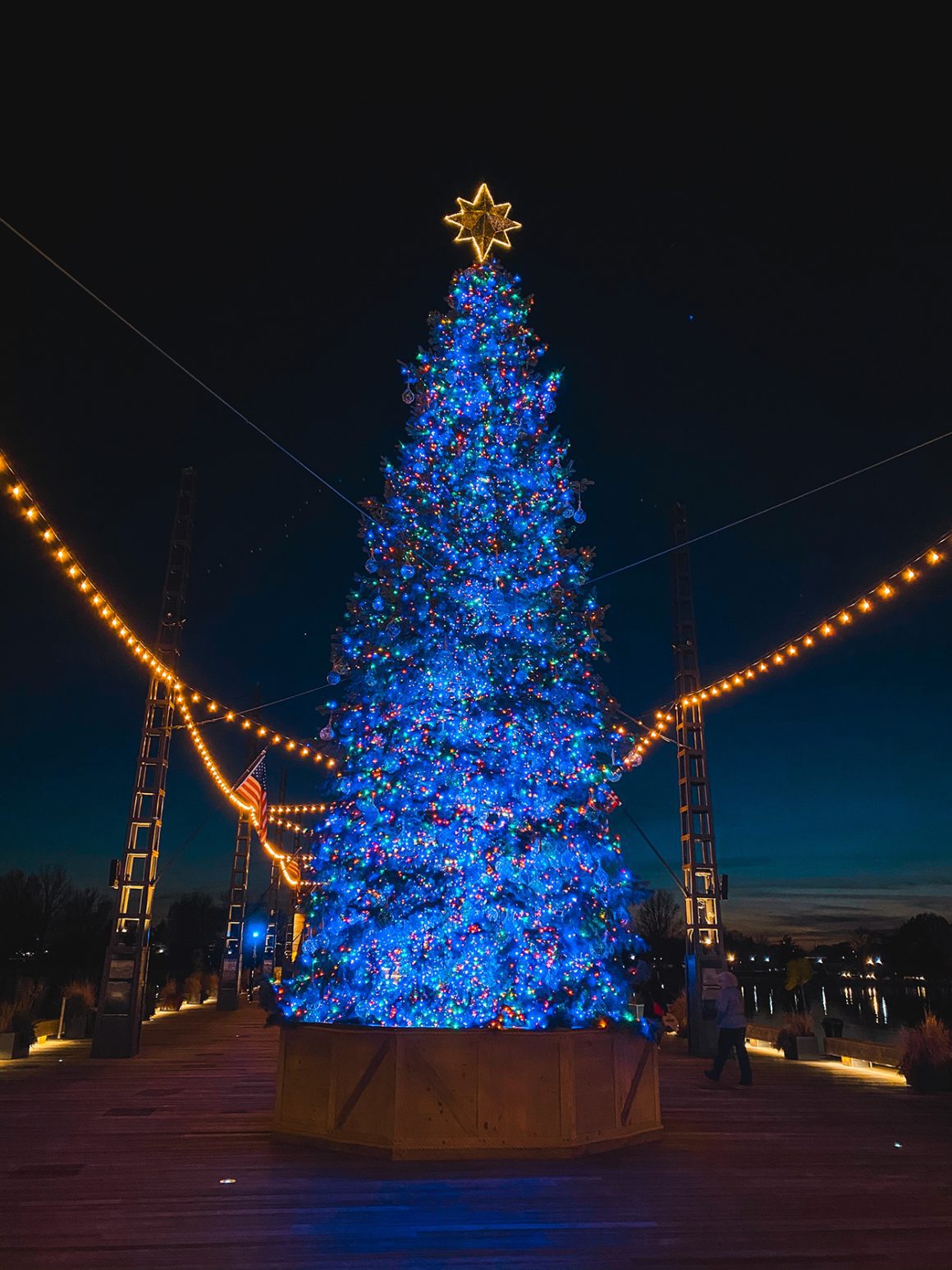 The Wharf Christmas Tree in Washington DC- photo by Keryn Means publisher of DCTravelMag.com