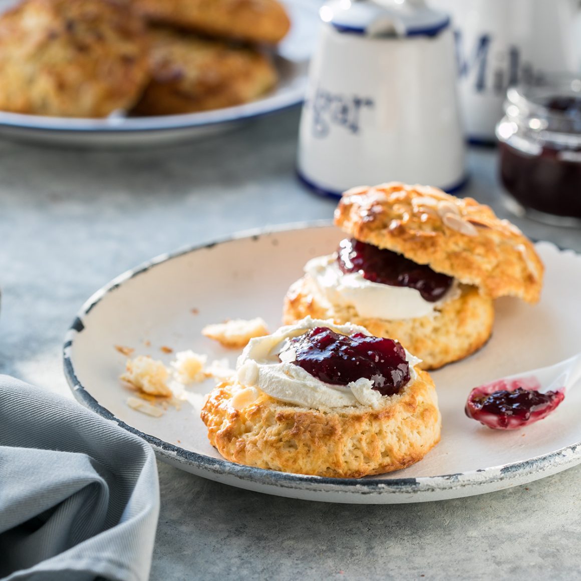 scones with clotted cream and jam at a Washington DC afternoon tea