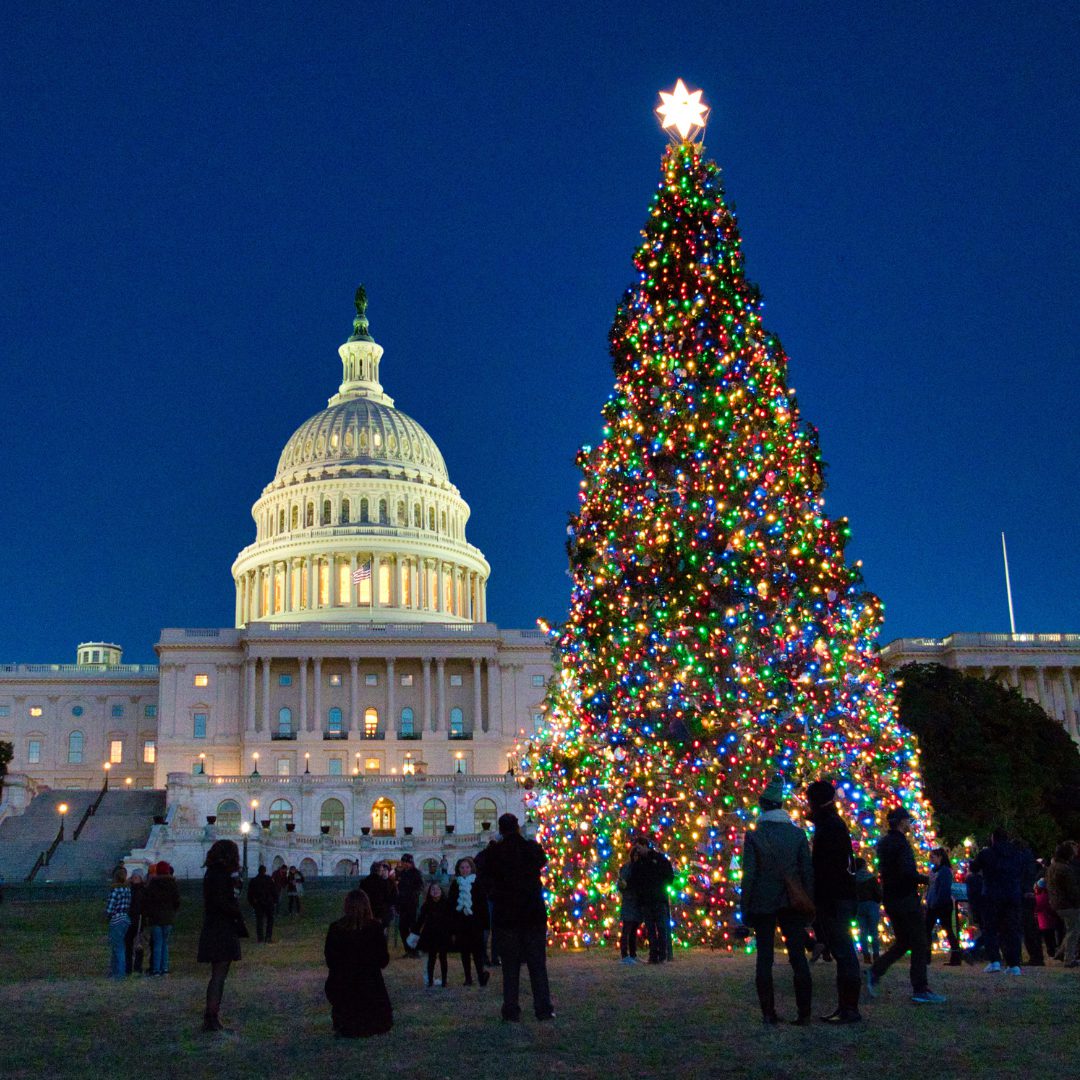 Christmas in Washington DC- Capitol Building Christmas Tree