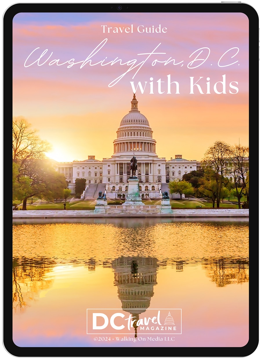 Washington D.C. Trip Planner: Family Travel Guide iPAD cover sample