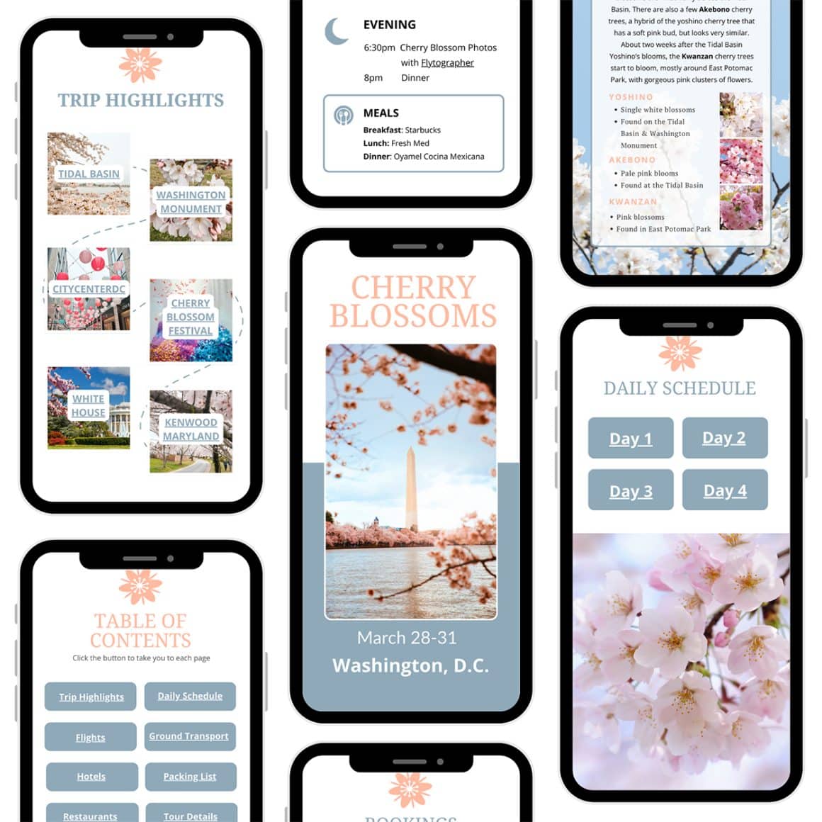 Washington DC Cherry Blossom Digital Travel Planner template for mobile created by Keryn Means DCTravelMag.com